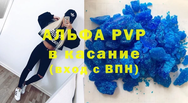прущие грибы Липки