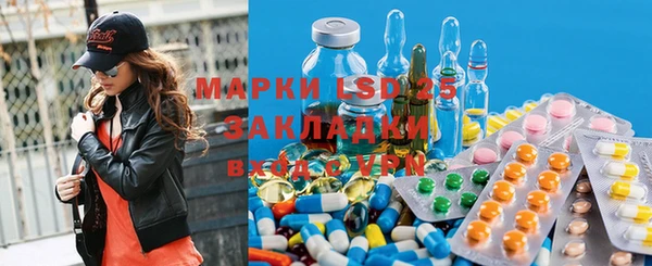 прущие грибы Липки