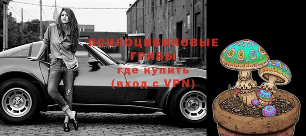 прущие грибы Липки