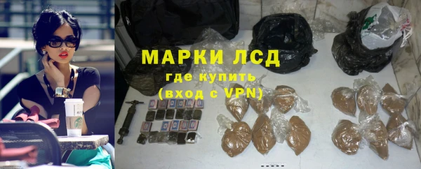 прущие грибы Липки